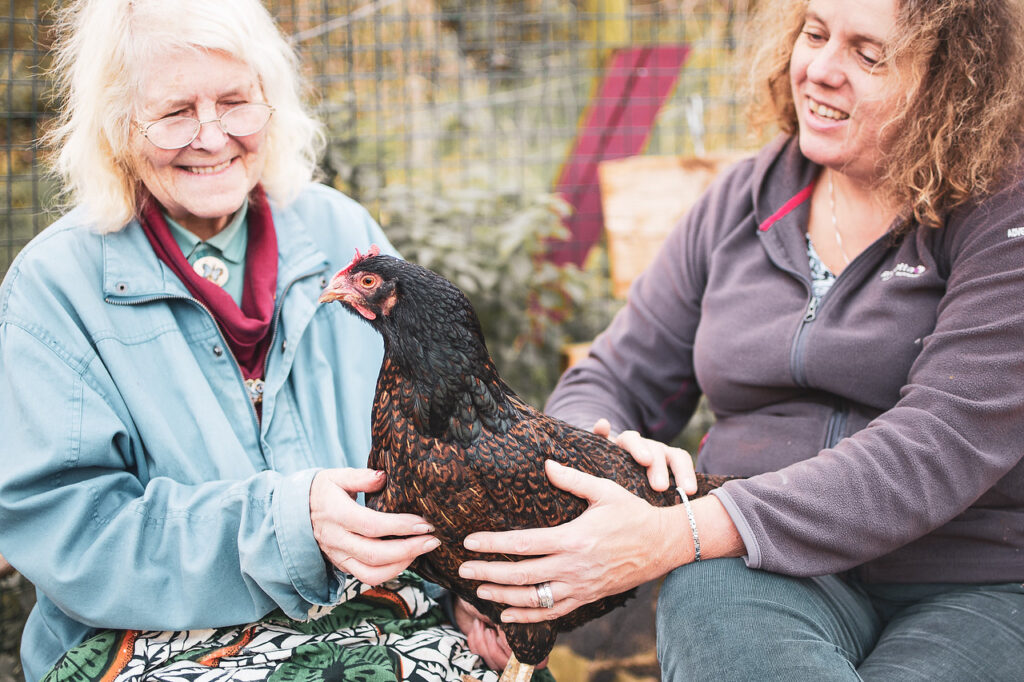 Bath City Farm