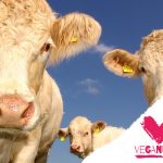 Veganuary